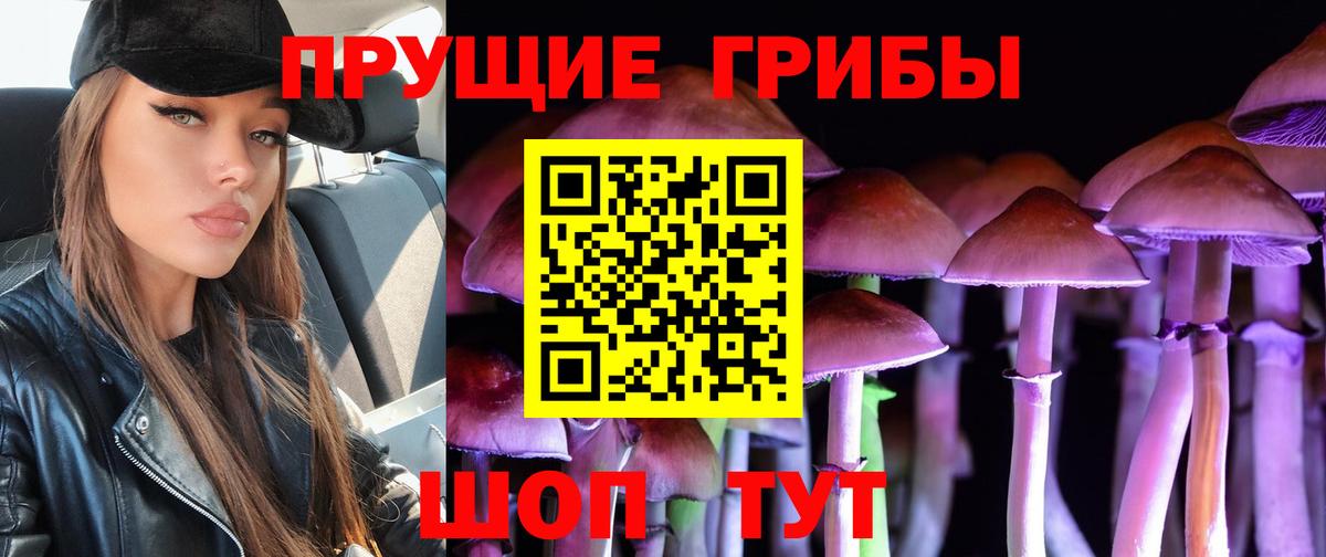 Галлюциногенные грибы ЛСД  Вход с VPN  Кузнецк 